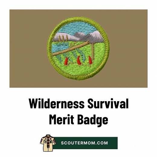 Wilderness Survival Merit Badge for 2026: Free Resources and Answers