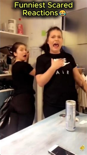 Funniest Scared Reactions 😂