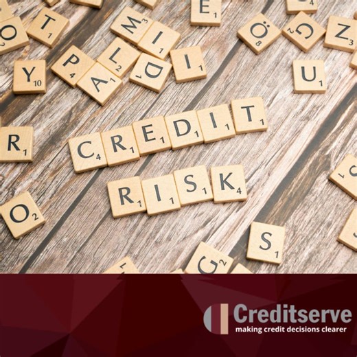 Conducting Credit Checks for High-Value Clients | Creditserve Business Information Ltd posted on the topic | LinkedIn