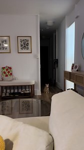 Understanding Your Cat's Behavior and Thoughts