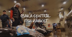 Osaka Central Fish Market: The New Tsukiji?