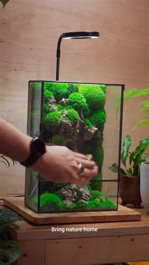 10K views · 128 reactions | Our latest creation: the Moss Box We handmake all our Moss Boxes and Prisms here in Bristol. As we are using organic, yet preserved, moss - no two are the same AND they are zero maintenance. They make a wonderful addition to any home or workspace. #ome #Bristol #Terrariums | Ome.home | Facebook