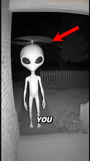 Skinwalkers disguised as Animals | who are skinwalkers #scary #skinwalkers