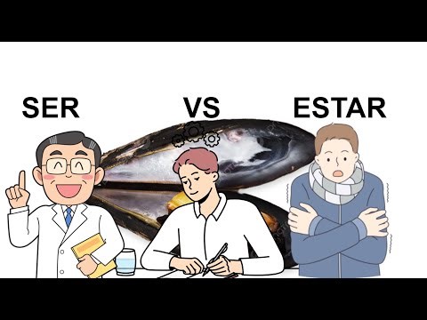 Educational Rap Song | Ser VS Estar - Spanish