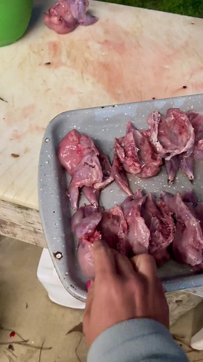 Delicious Fried Quail Recipe