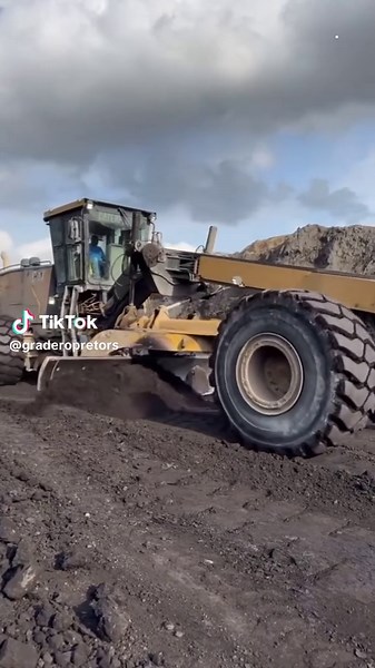 #graderoperator #cat #viral @N۔۔۔ن