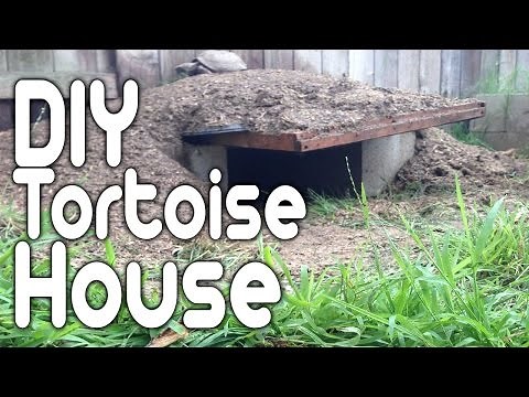 Tortoise Enclosure - (DIY Tortoise House)
