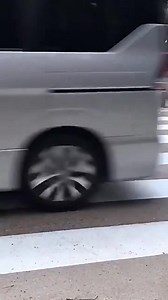 A deer using a crosswalk in Japan!?!?!? Can we import a few of these deer to teach our deer how to cross the road???? Please?! | Brandon Wilkinson