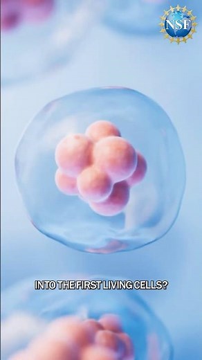 How Simple Molecules May Have Sparked the First Cells #shorts #science #cell