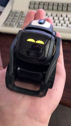 Adorable Anki Vector Robot Seeks Attention