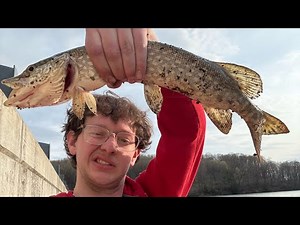 How to Catch Pike for Beginners! AVOID THESE MISTAKES!!!