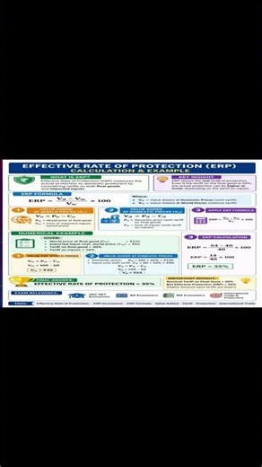 Effective Rate of Protection (ERP) Explained with Numerical | Easy Economics