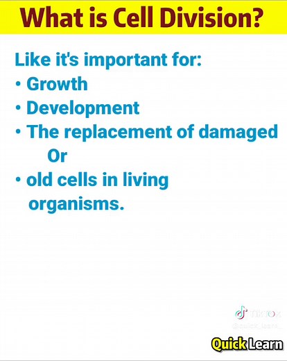 Understanding Cell Division: A Comprehensive Guide
