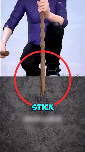 Why Do Worms Come Out When You Vibrate the Ground? 🪱😳