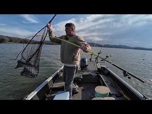 Sometimes Bluegill Is The Best Catfish Bait