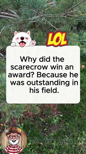 Why Scarecrow Won an Award 🏆🌾 (Outstanding In His Field)