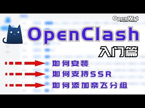 《Q&A小视频ep11》斐讯N1为例 OpenClash如何安装使用？如何添加Netflix分流？是否支持SSR托管？