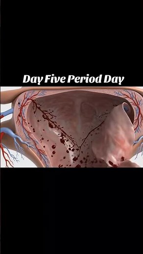 - “What Happens During a Girl’s Period? | Menstrual Cycle Animation”