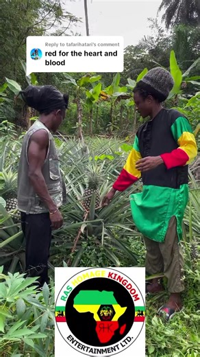 Exploring Natural Food in Rastafarian Culture