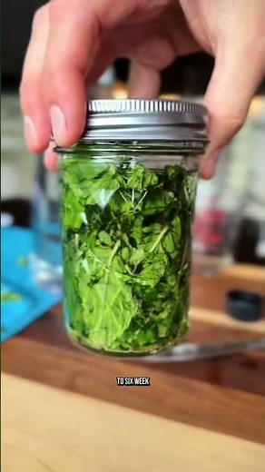 Mint Monday DIY mint extract with fresh mint