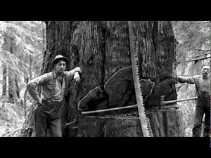 History Of The Pacific Northwest: Native American Indians, Logging, Railroads, Pioneers