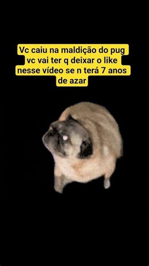 vcccc foiiiiii pugadooooo melhor agr n use tela verde lkkkkkk
