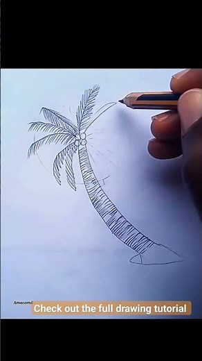 Palm tree drawing for beginners (Check out the full drawing tutorial). #short #pencilsketch #drawing