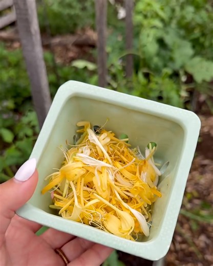 270K views · 627 reactions | Using honeysuckle to make syrup!  | FOODbible | Facebook