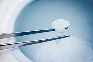Frozen Embryo Transfer (FET) at ICRM - Idaho Center for Reproductive Medicine