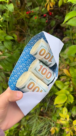 52K views · 984 reactions | Finders Keepers!  Did you think it would be here? Make sure you are following @driveforceautoplaza for hints and to be entered into their car giveaway at the end of these stashes! Tag us when you find it #stlouis #missouri #game #scavengerhunt | CashStash St. Louis | Facebook