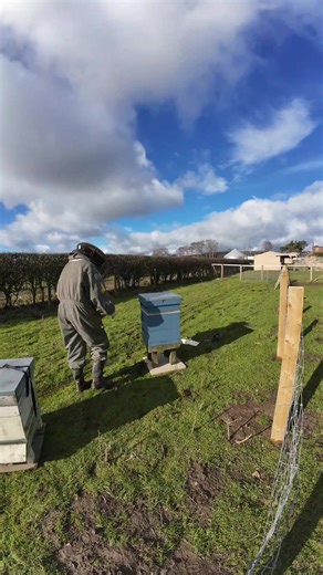 Beekeeping Vlog: Challenges of Moving Bee Hives