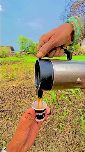 Chai Explained: The Spiced Drink That Conquered the World (and Your Tastebuds)