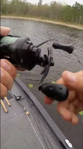 Landing a Monster on the Bio-Rat