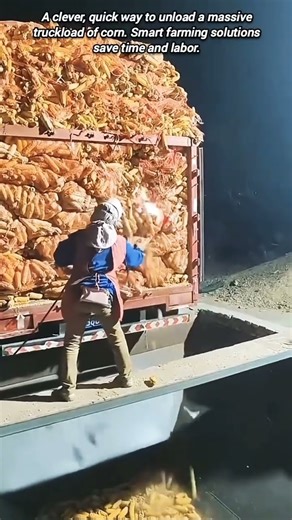 Massive corn harvest unloaded fast with smart gravity tilt..