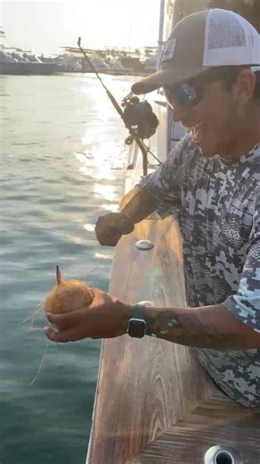 Pipa Challenge! Different tools, various methods. Who do you think conquered it with finesse? #PipaChallenge @yeti @lossuenosresort @sunbum @costasunglasses @aftco @bluefinusa | Maverick Sportfishing Costa Rica