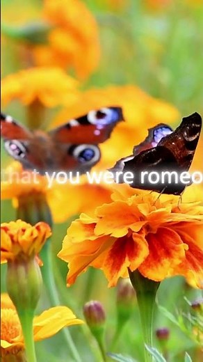 Love Story Lyrics || Taylor Swift