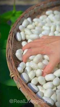 केवल 55 दिनो में अंदे से लेकर Cocoon बनने की सफर : रेशम के कीड़े 🐛🧶 || #minivlog