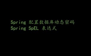 Spring 14 -- 配置数据库动态密码和 SpEL 表达式