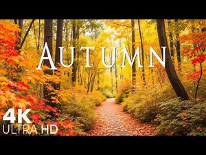 Relaxing Fall Foliage Video | Peaceful Autumn Nature with Calming Music 🍂 Beautiful Relaxing Music