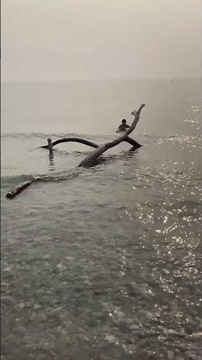 Stunning Lake Huron Views and Crashing waves | Bayfield Beach ON 🇨🇦 #shorts #viralvideo #shortsfeed