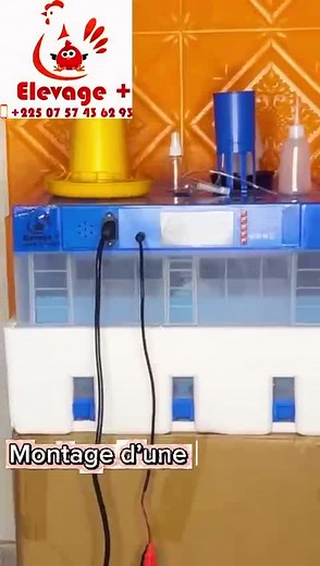 Montage d'une Couveuse Automatique pour 128 Œufs