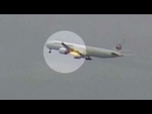 Jetliner makes emergency landing after bird strike