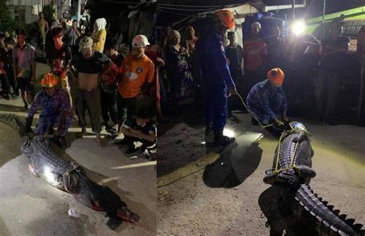 Woman hauls in fishing net, finds 3-metre croc instead