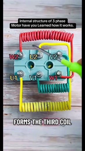 Internal structure of 3 phase motor have you Learned how it works. #electrical #motor #learn #foryou