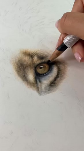 Almost finished✍🏼🦁 | Ruby Welstead Pet Portrait & Wildlife Artist