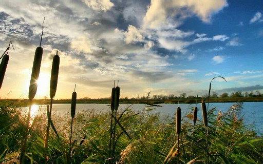 David Cope _ Compose by EMI