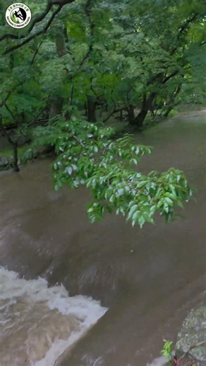 🌧️ Seonunsan Mountain in the Heavy Rain! What’s Happening at Dosolje Reservoir and the Valley?