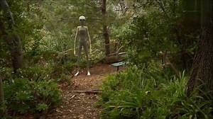 537K views · 7K shares | UFO Aliens on Reels | Facebook