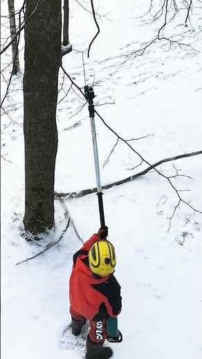 Makita DUA301 #tools#makita#treework