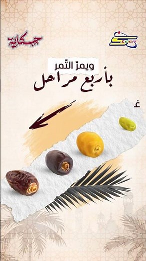 سبيستون | حكاية | التمر 🌴